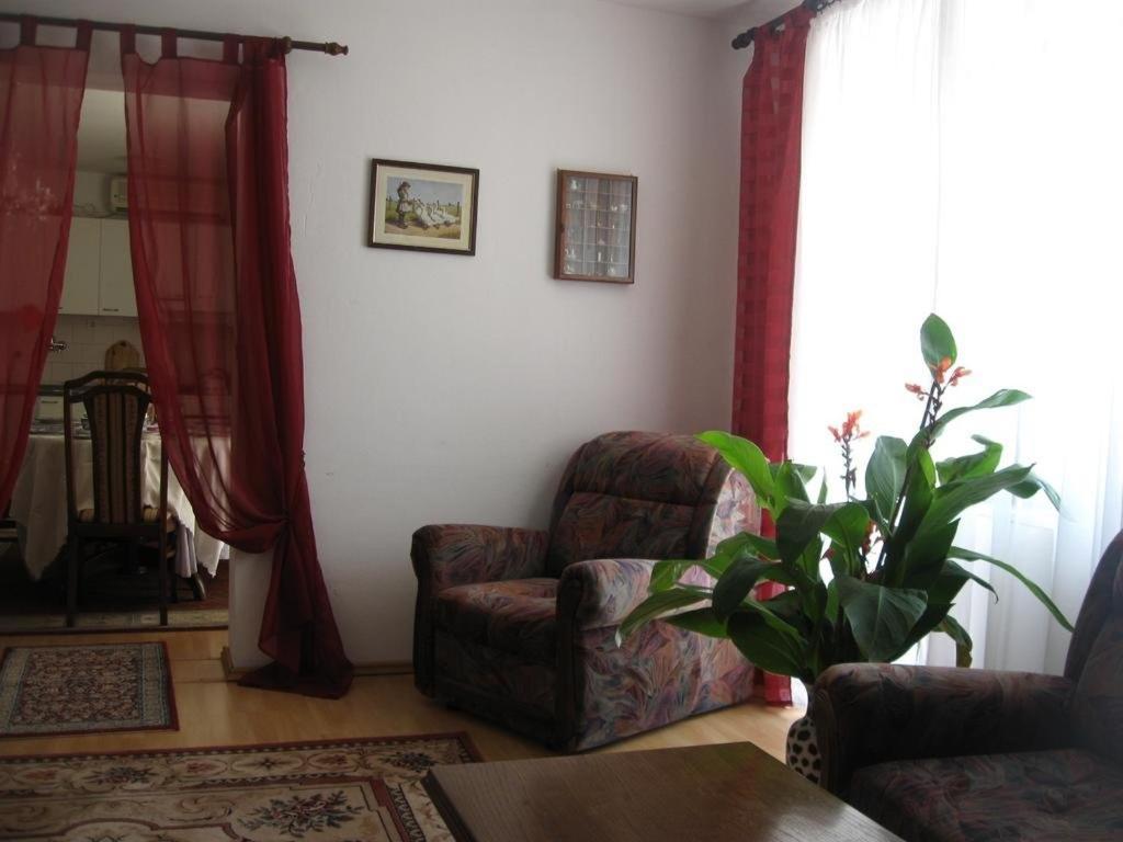 Madam Svetlana Bed & Breakfast Tivat Dış mekan fotoğraf